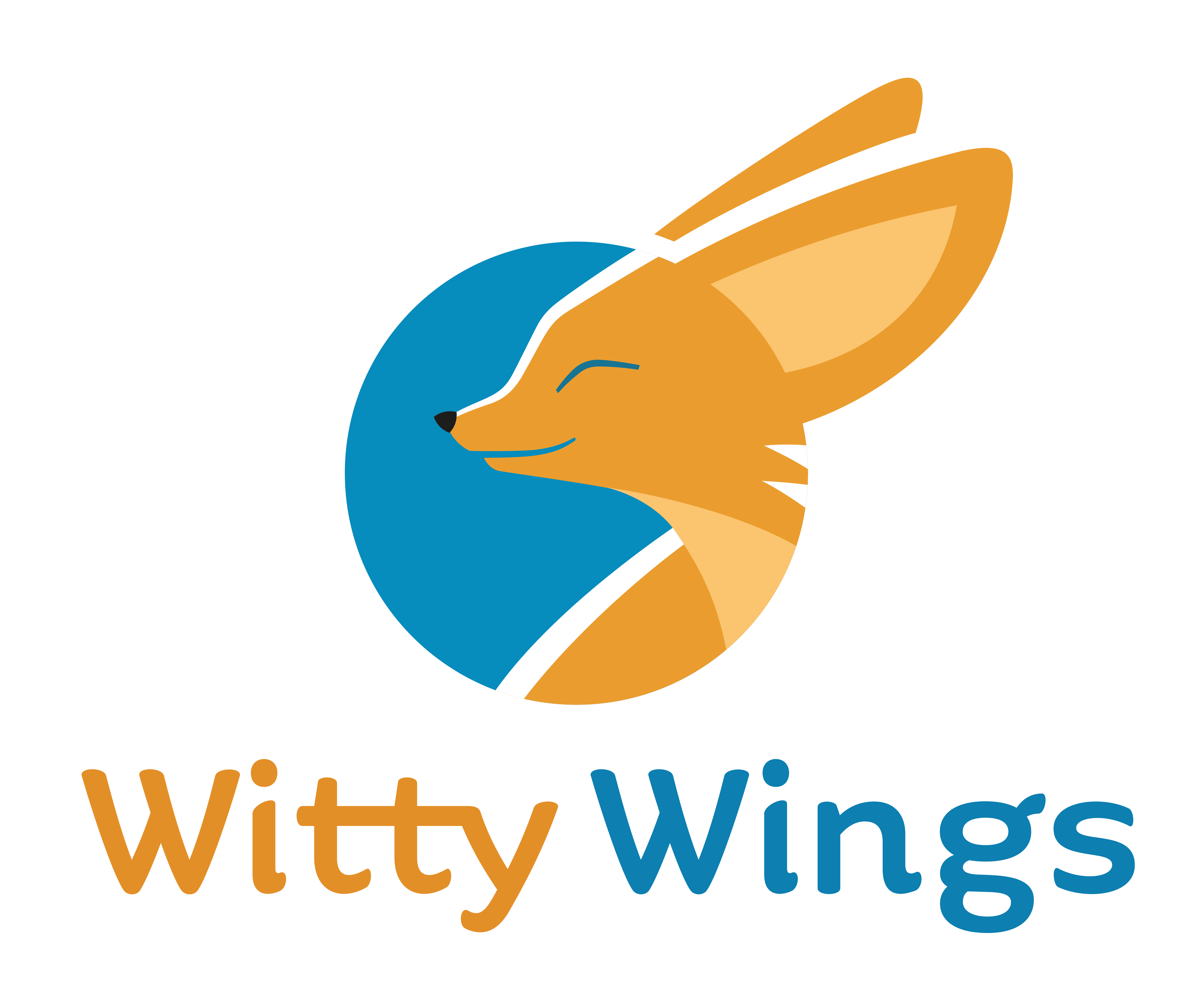 witty wings changing the